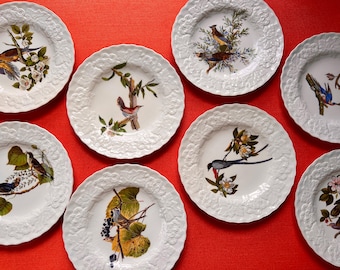1930s Audobon Birds of America Decorative Wall Hanging Plates