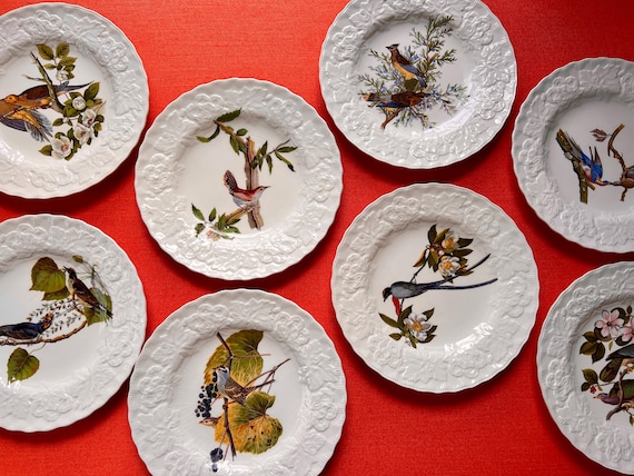 Audubon Bird Ceramic Plates, 1930s Vintage Nature Wall Art - Etsy