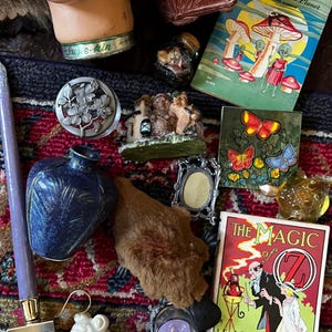 Vintage Mystery Box, Antique Curated Blind Box, Cottagecore, Dark Academia, Goth, Retro Gift Baskets 画像 20