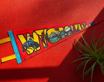 Vintage Wyoming Pennant Flag, Country Western Retro Pennant Banner, Cowboycore 70s Vintage Wall Decor