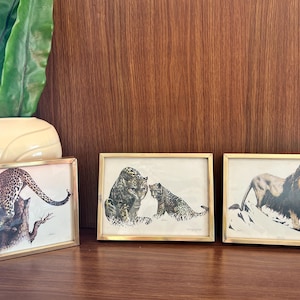 Lion, Jaguar, Panther Wall Decor Art Prints, Set of 3, Vintage 1970s Small 9” Framed Big Cats, Maximalist Wall Art