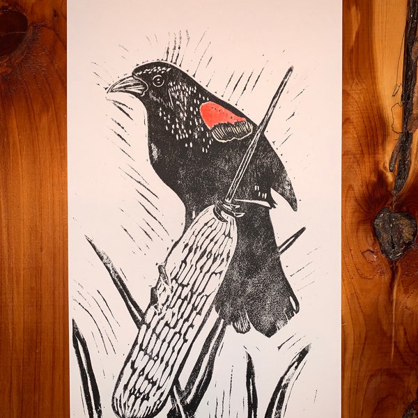 Red-Wing Blackbird Print