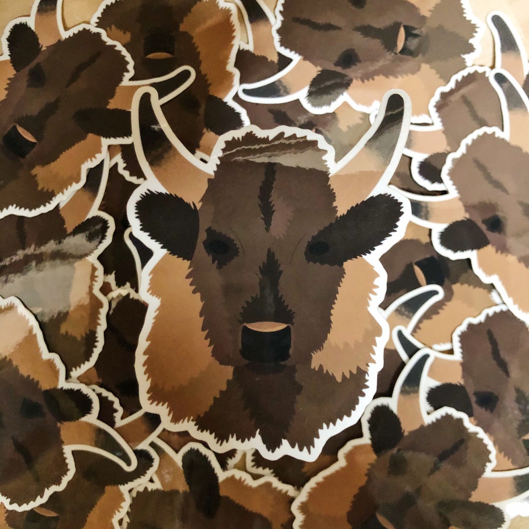 Clear Buffalo Sticker - Etsy