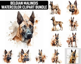 Watercolor Belgian Malinois Clipart, 12 High Quality JPGs, Dog Clipart, Card Making, Digital Paper Craft, Digital Download, Commercial use
