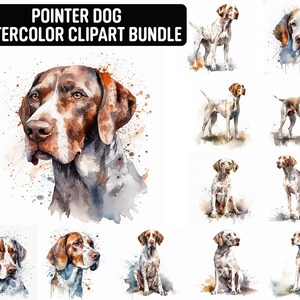 May include: A digital clipart bundle of watercolor illustrations featuring pointer dogs in various poses. The dogs are depicted in shades of brown, white, and black, with splashes of watercolor paint around them.