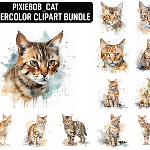 Puede incluir: Un conjunto de 12 ilustraciones de acuarela de gatos atigrados en varias poses. Los gatos se representan en un estilo realista con patrones de pelaje detallados y ojos expresivos. Las ilustraciones son perfectas para usar en proyectos digitales o impresos.