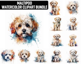 Watercolor Maltipoo Clipart, 12 High Quality JPGs, Dog Clipart, Card Making, Digital Paper Craft, Digital Download for Commercial use