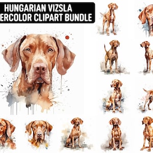 Acuarela húngara Vizsla Clipart, 12 JPG de alta calidad, imágenes prediseñadas para perros, fabricación de tarjetas, artesanía de papel digital, descarga digital, uso comercial