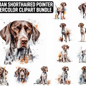 Watercolor German shorthaired Pointer Clipart, 12 High Quality JPGs, Dog Clipart, Digital Paper Craft, Digital Download for Commercial use