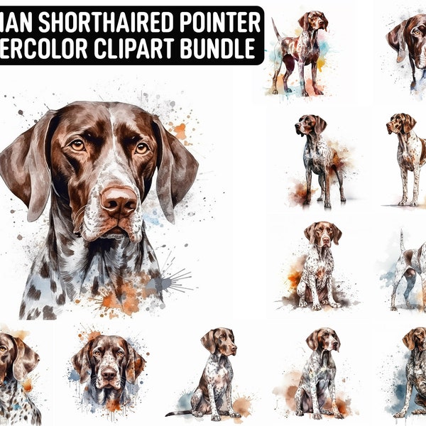 Aquarell Deutscher Kurzhaar Clipart, 12 hochwertige JPGs, Hund Clipart, digitales Papierfertigkeit, digitaler Download für den kommerziellen Gebrauch