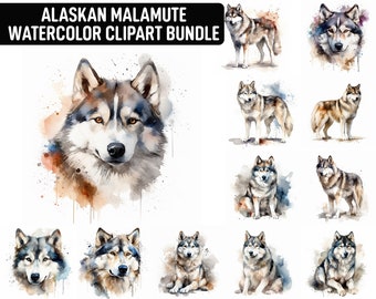 May include: A digital watercolor clipart bundle featuring 10 different Alaskan Malamute dog illustrations. The illustrations are in various poses, including standing, sitting, and looking directly at the viewer. The illustrations are painted in shades of brown, gray, and white.