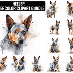 Clipart Watercolor Heeler, 12 wysokiej jakości plików JPG, Clipart z psem, Tworzenie kartek, Cyfrowe rzemiosło papierowe, Pobieranie cyfrowe do użytku komercyjnego