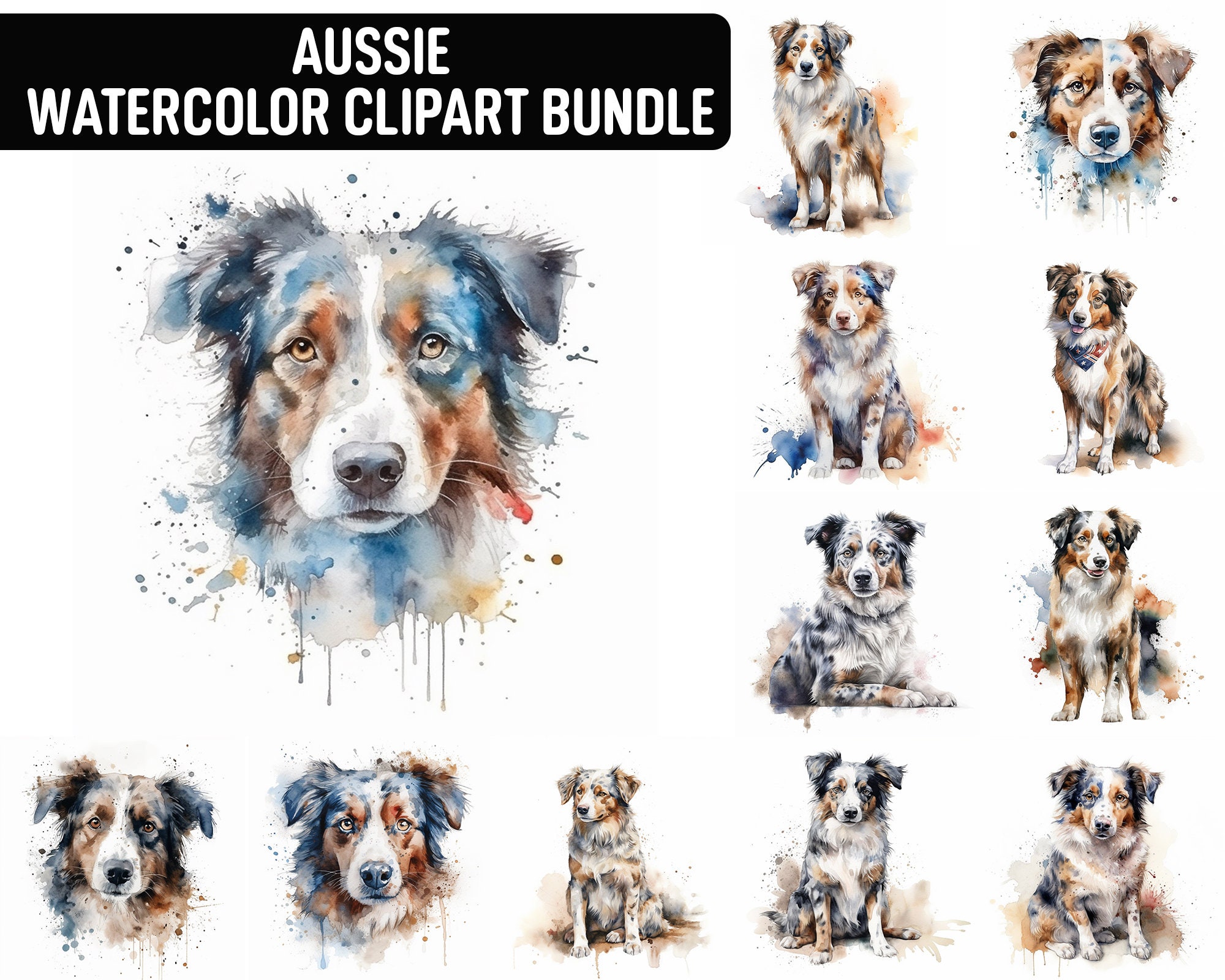 Watercolor Aussie Clipart, 12 High Quality Jpgs, Dog Clipart, Card ...