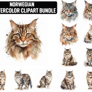 Aquarel Noorse Boskat, 12 hoge kwaliteit Jpgs, Cat Clipart, Card Making, Digital Paper Craft, Digitale Download voor commercieel gebruik