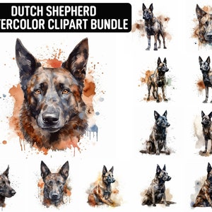 Clipart de pastor holandés de acuarela, 12 JPG de alta calidad, Clipart de perro, Fabricación de tarjetas, Arte de papel digital, Descarga digital para uso comercial