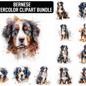 Aquarell Berner Clipart, 12 hochwertige JPGs, Hund Clipart, Kartenherstellung, digitales Papier Handwerk, digitaler Download für kommerzielle Nutzung