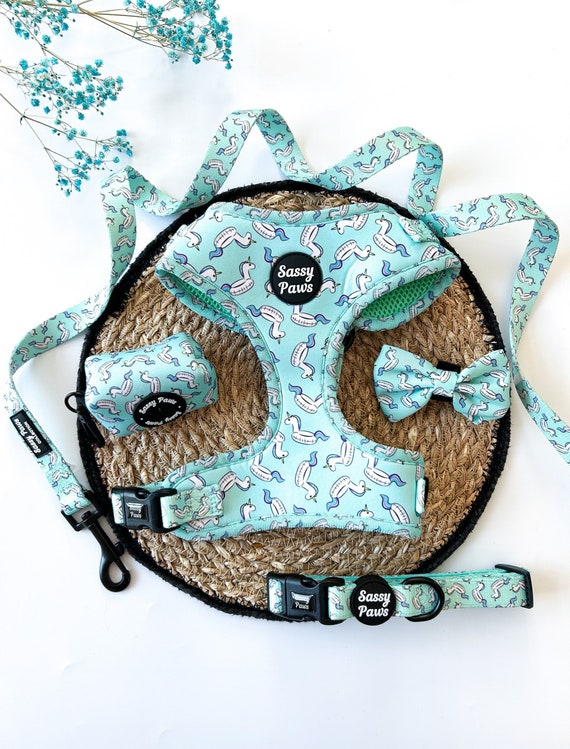 Unicorn Floaties' Dog Accessories Bundle Set
