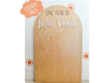 One Year Milestone Picture Board, One Year Photo Board, Monthly Milestone Display, Wood