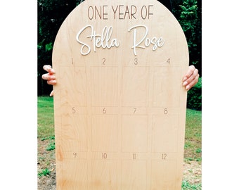 One Year Milestone Picture Board, One Year Photo Board, Monthly Milestone Display, Wood
