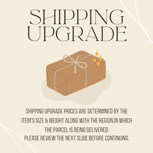 May include: A graphic with the words "SHIPPING UPGRADE" above a brown package tied with twine and adorned with gold sparkles. Text below explains that upgrade prices depend on size, weight, and delivery region.