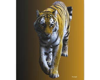 Wild Tiger Canvas Print, Animal Wall Art, Home Decor