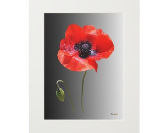 Red Poppy Flower Fine Art Print Passepartout Paper Frame