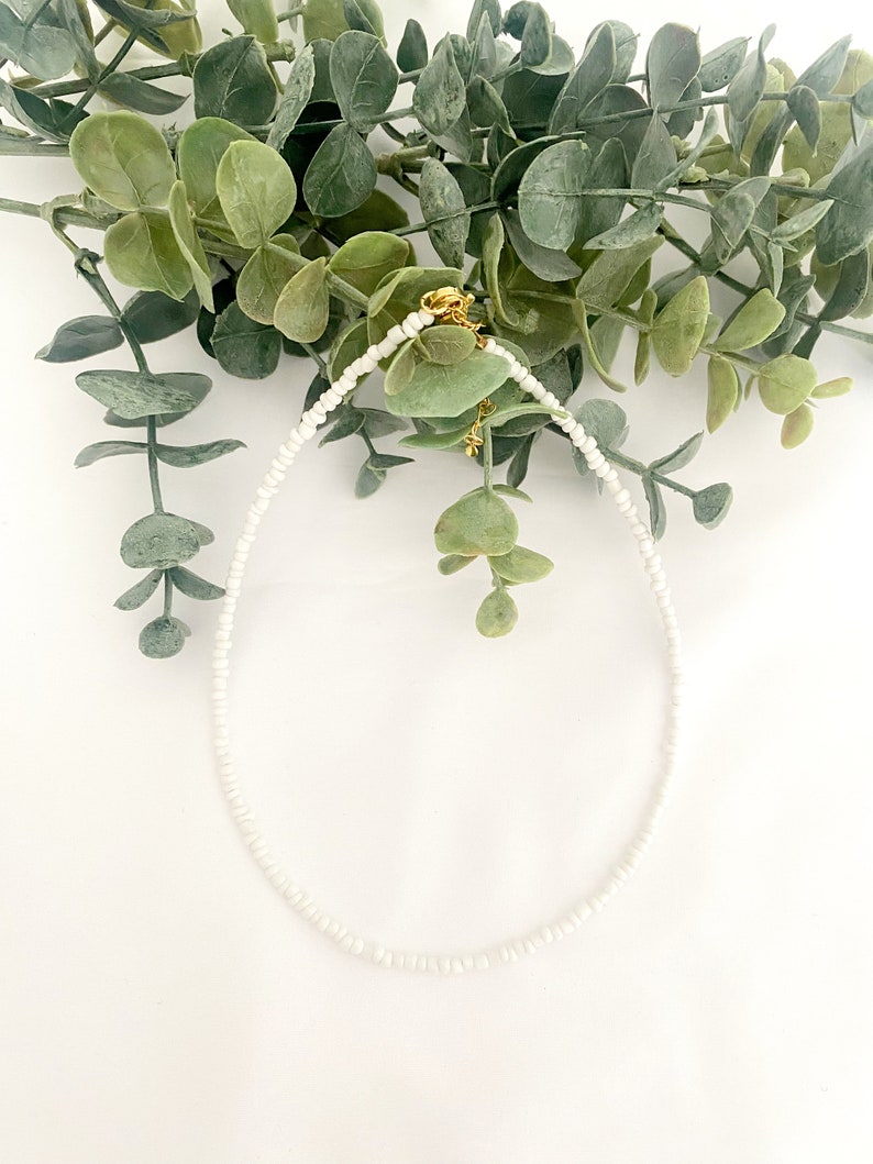 Peut inclure: Un d&eacute;licat collier de perles blanches avec un fermoir dor&eacute; et un petit charme. Le collier est pr&eacute;sent&eacute; sur un fond de feuillage vert et une surface blanche, cr&eacute;ant une esth&eacute;tique minimaliste.