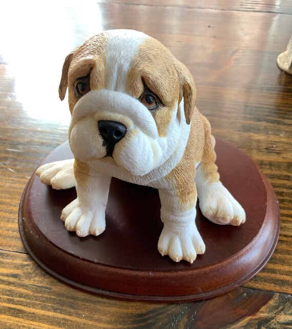 Bringing home english bulldog puppy hot sale