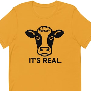 Wisconsin Real Cheese T Shirt | Wisconsin Souvenir | Cheese Head Clothing Gifts | I Love Wisconsin | Dairyland | Badger State | UW | Unisex