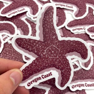 Oregon Coast Starfish Sticker, Vinyl Sticker, Oregon, Portland, Beach, Coast, Starfish, Nature