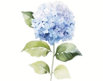 Botaniczny wydruk z niebieską hortensją – pastelowa sztuka ścienna w stylu vintage z motywem kwiatowym (do pobrania w wersji cyfrowej)