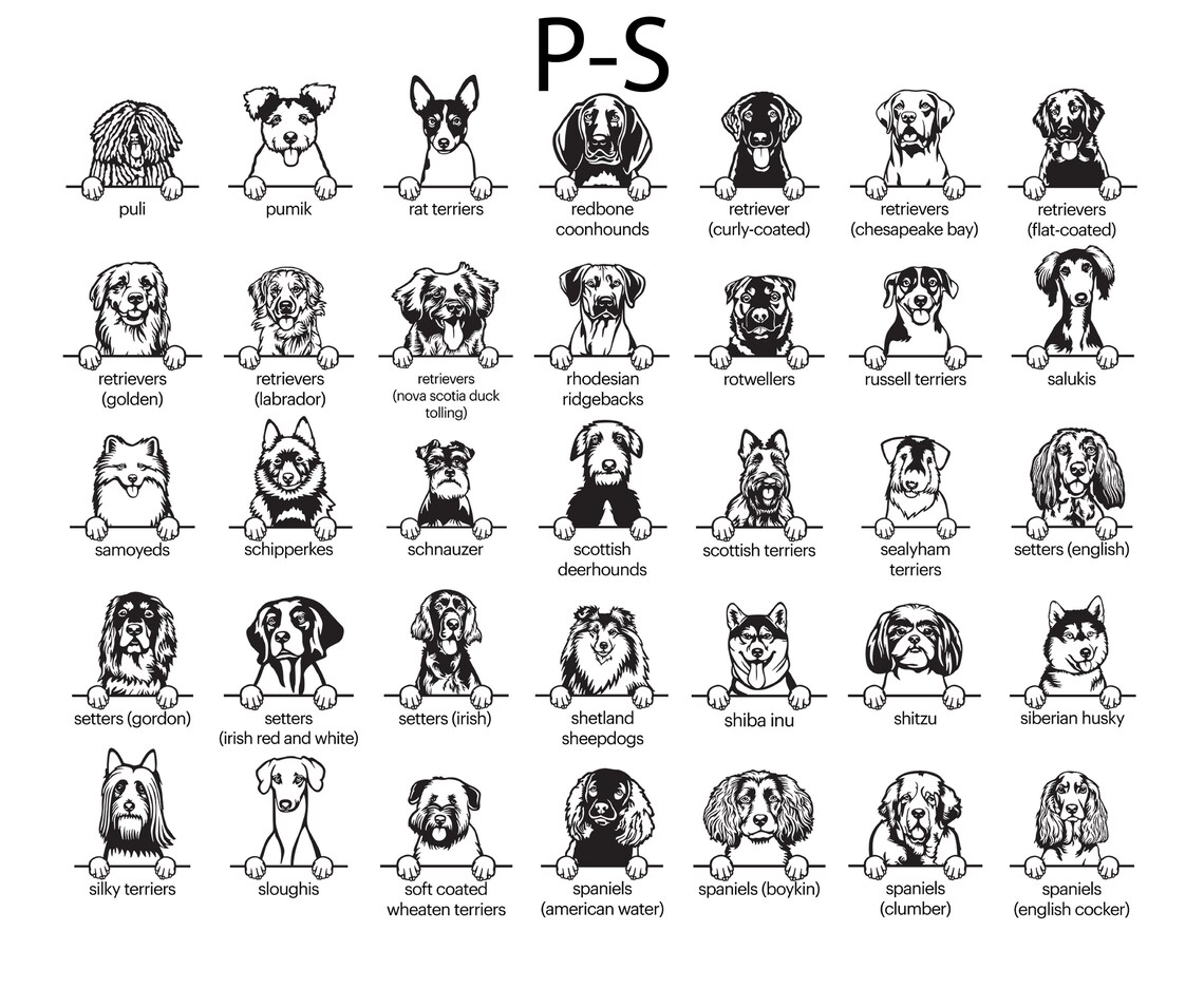 Protected by Dog Onesie® Custom Baby Onesie® Custom Bodysuit Etsy Canada