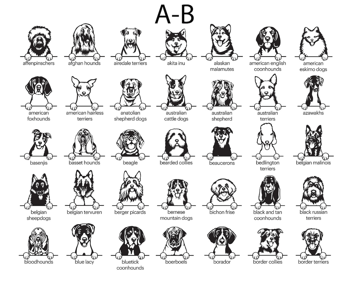 Protected by Dog Onesie® Custom Baby Onesie® Custom Bodysuit Etsy Canada