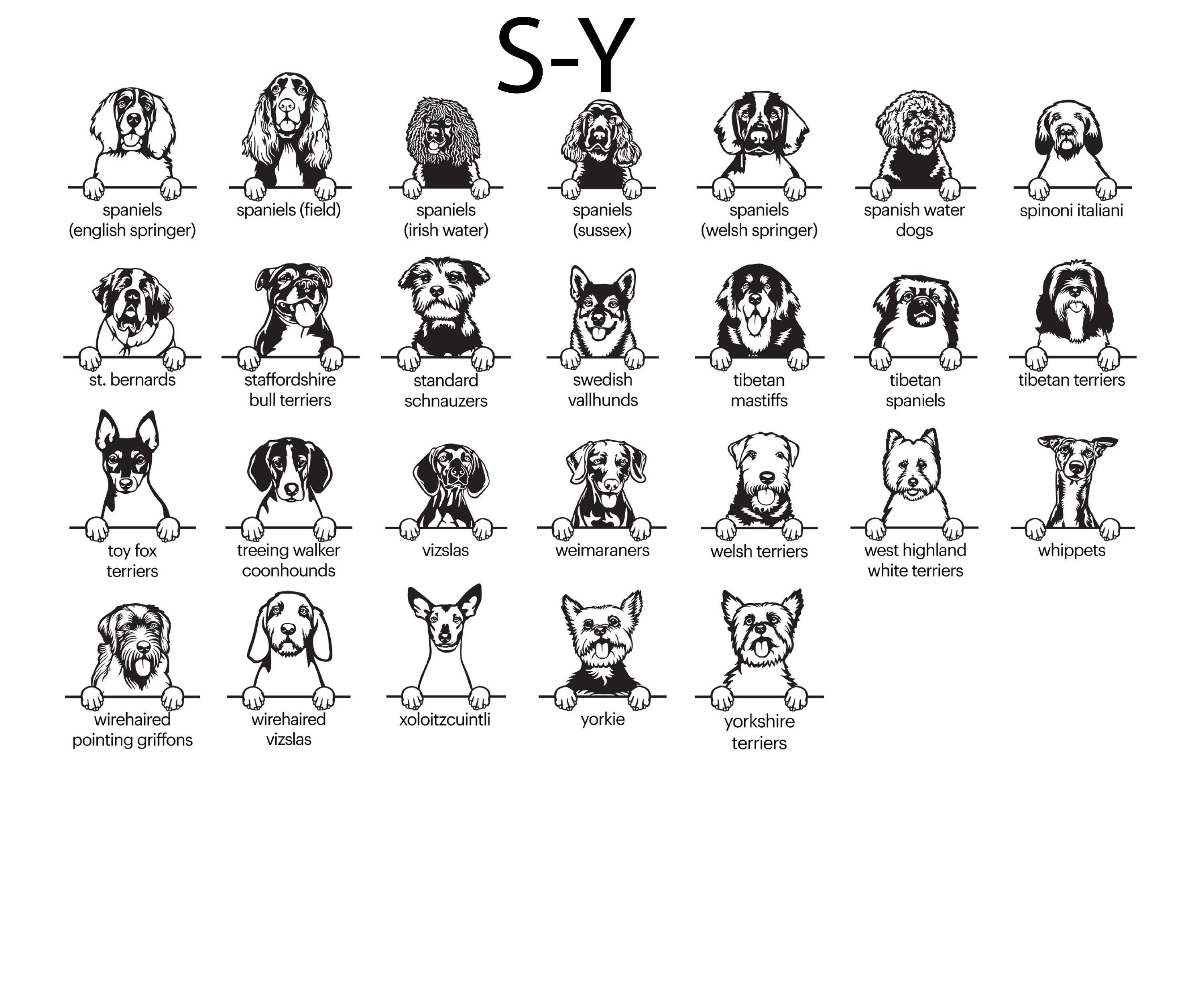 Protected by Dog Onesie® Custom Baby Onesie® Custom Bodysuit Etsy Canada