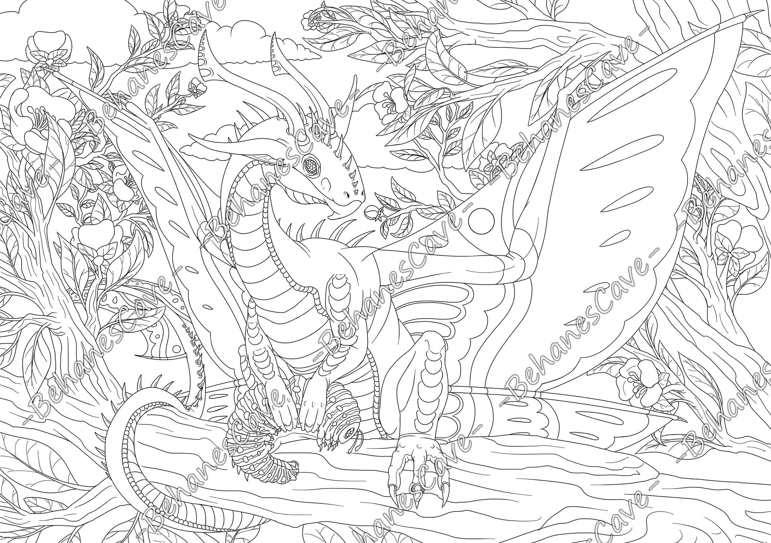 Fairy Dragon. Dragons. Coloring Book. Vol 1. Digital PDF Etsy