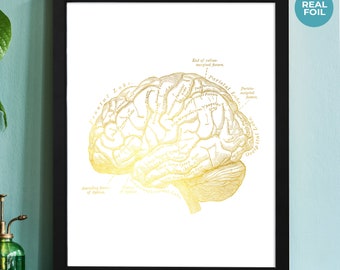 Neuroscience Art Brain Anatomy Foil Print - Medical Student Gift ...