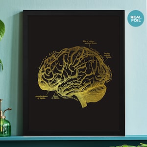 Human Brain Print, Medical Student, Anatomy Print, Neuroscience Art, Doctor Gift, Nurse, Psychology Gift, Gold Foil Print, Doctors Office