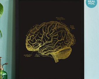 Human Brain Print, Medical Student, Anatomy Print, Neuroscience Art, Doctor Gift, Nurse, Psychology Gift, Gold Foil Print, Doctors Office