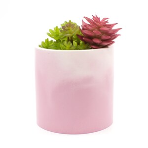 Peut inclure: Un pot en céramique rose dégradé avec une plante succulente verte et rouge à l'intérieur.