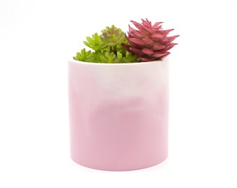 Pen Pot Planter | Pink Clouds