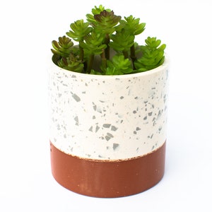 Pen Pot Planter | Terrazzo Terracotta