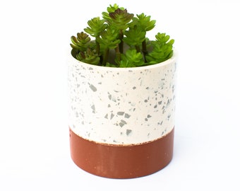 Pen Pot Planter | Terrazzo Terracotta