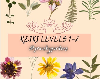 One On One Reiki Level 1 & 2 Attunement