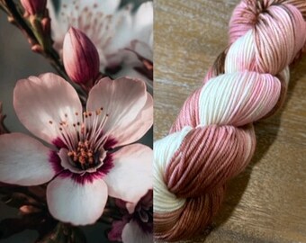 Fiore di ciliegio, Rosa, Marrone, Bianco, Filato tinto a mano, Peso DK, Lana Merino Superwash, Filato DK