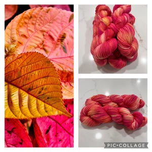 Fushia Foliage, Pink, Tangerine, Yellow, Cream, Hand dyed yarn, Worsted weight, Superwash Merino wool, Worsted yarn