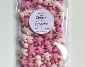 Wax Melt Dinosaur Mini Set Made With Natural Soy Wax | The Perfect Gift For Her Or Gift For Him | Handmade Home Decor And Home Fragrance