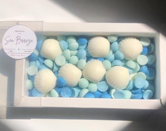 Wax Melt Seashell Set Made With Natural Soy Wax | The Perfect Gift For Her Or Gift For Him | Handmade Home Decor And Home Fragrance