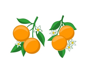 Fruit Oranges Branch Cuttable Design SVG PNG DXF & eps Designs Cricut Cameo File Silhouette