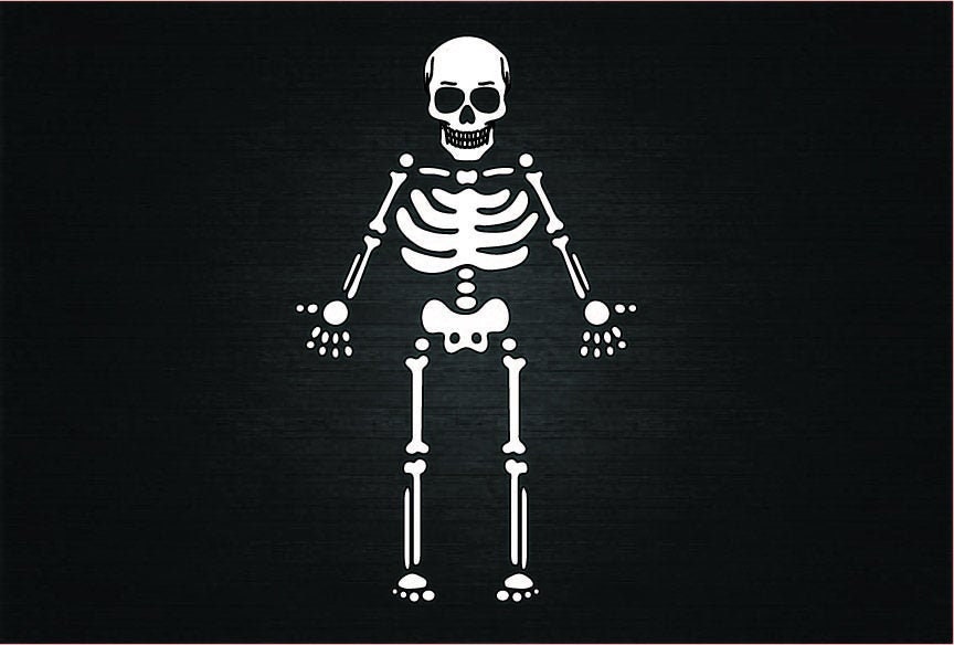 Skeleton SVG Halloween Skeleton Svg Halloween Svg for | Etsy