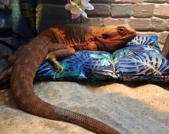 Handmade lizard reptile bearded dragon gecko sofa couch bed lounger window seat nest cozy cushion